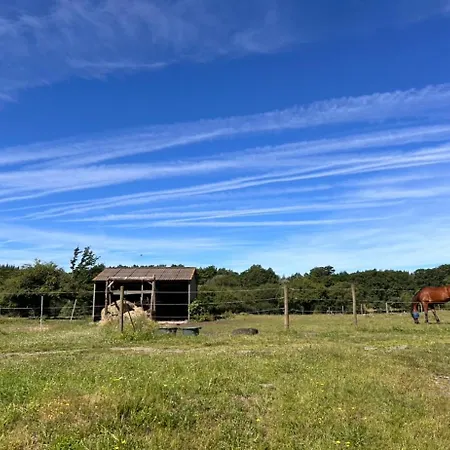 Кемпинг Wildust Ranch