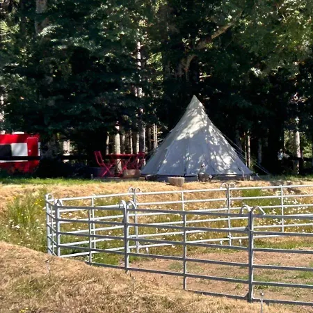 Wildust Ranch *