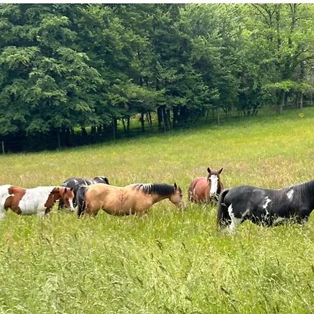 Wildust Ranch Кемпинг Le Soulie